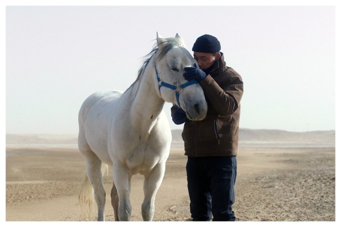 To Kill a Mongolian Horse